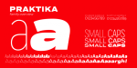 Extended Font