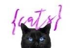 Hattes Typeface Font