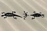Lizards Dingbats Font