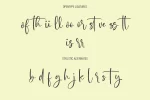 Miguel Sparks Signature Script Font
