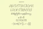 Miguel Sparks Signature Script Font