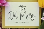 Miguel Sparks Signature Script Font