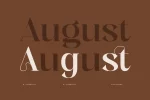Movek Noiya Modern Display Font