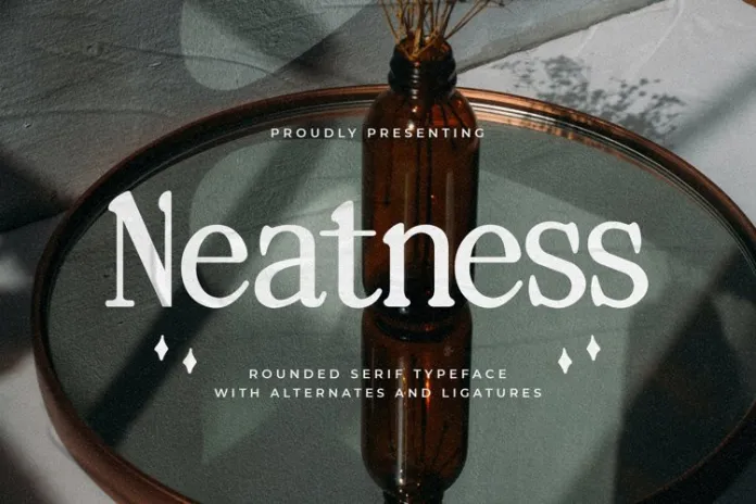 Neatness Font