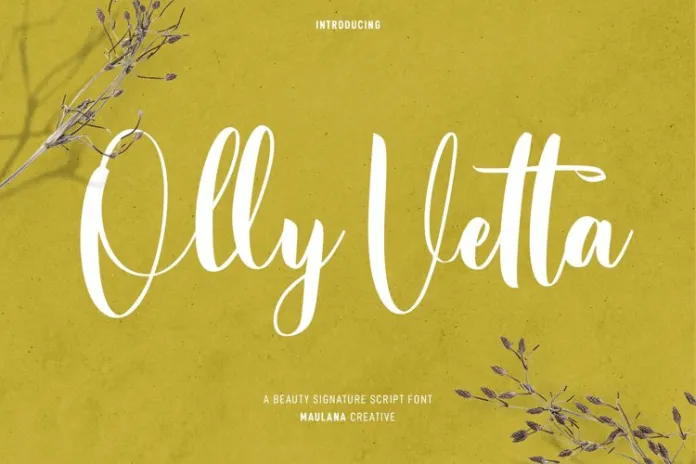 Olly Vetta Font