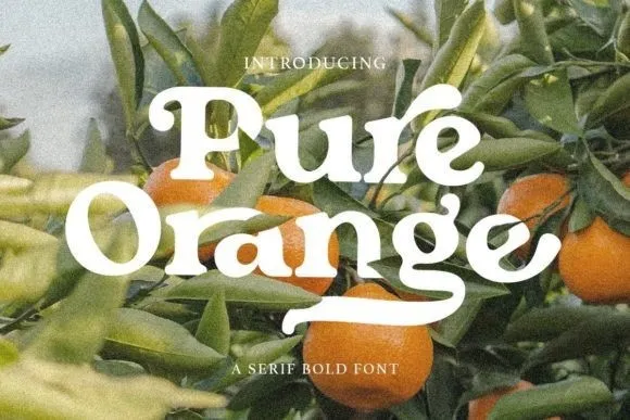 Pure Orange Font