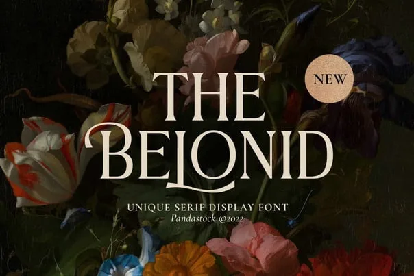 The Belonid - Cool Serif Font
