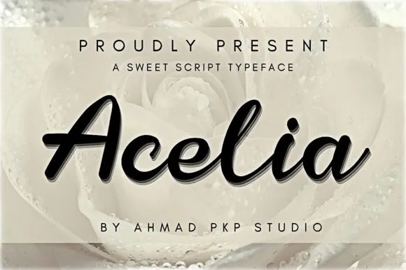 Acelia Font Script