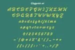 Garleco - Retro Script Font