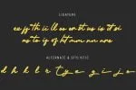Melvio Play - Signature Script Font