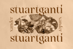 Angle & Fairy - Classic Vintage Fantasy Serif