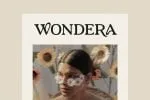 Austena – Modern Stylish Serif Font