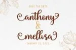Blantone Script Font