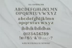 Bragille - Stylish Bold Serif Font