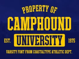 Camphound Font