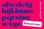 Cift Serif Font