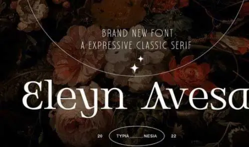 Eleyn Avesa - Classic Elegant Display Serif Font