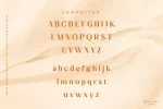 Evoria | Modern Serif Font