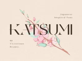 Katsumi Font