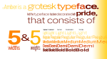 LT Amber Font