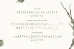 Little Poodle Font