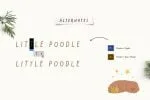 Little Poodle Font