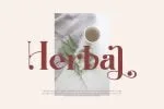 Meriyan Modern Serif Font