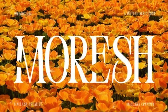 Moresh Font