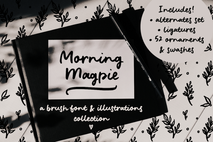Morning Magpie brush font