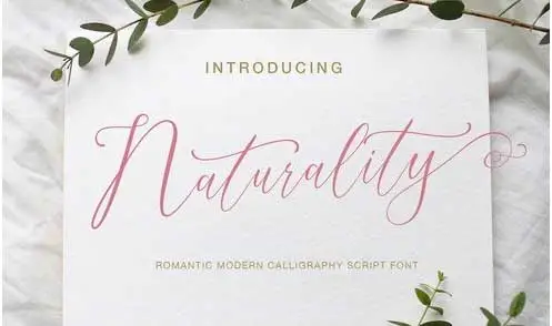 Naturality Script Font