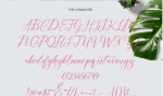 Naturality Script Font