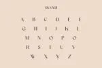 Skandi Modern Sans Serif Font