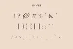 Skandi Modern Sans Serif Font