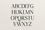 Stay Wild Font
