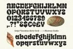 Swipe Font