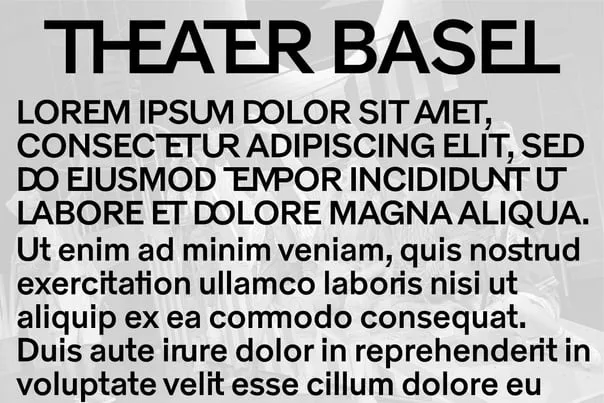 Theater Basel Grotesk Font