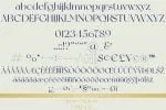 Virsace Bigiora | Modern Sans Serif Font