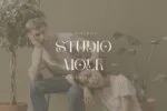 Berfilem - Editorial Display Serif