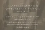 Berfilem - Editorial Display Serif