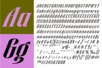 Billguva Font