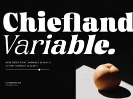 Chiefland Variable - 6 Weight Style Font