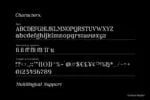 Chiefland Variable - 6 Weight Style Font