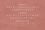 Dafista - Classic Elegant Font
