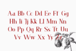 Faradize Font