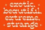 Kontradix Font