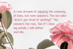 Nuzera Font