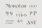 Philosophy - Sophisticated Serif