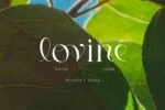 Philosophy - Sophisticated Serif
