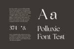 Polluxie Feminine Serif Font