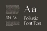 Polluxie Feminine Serif Font
